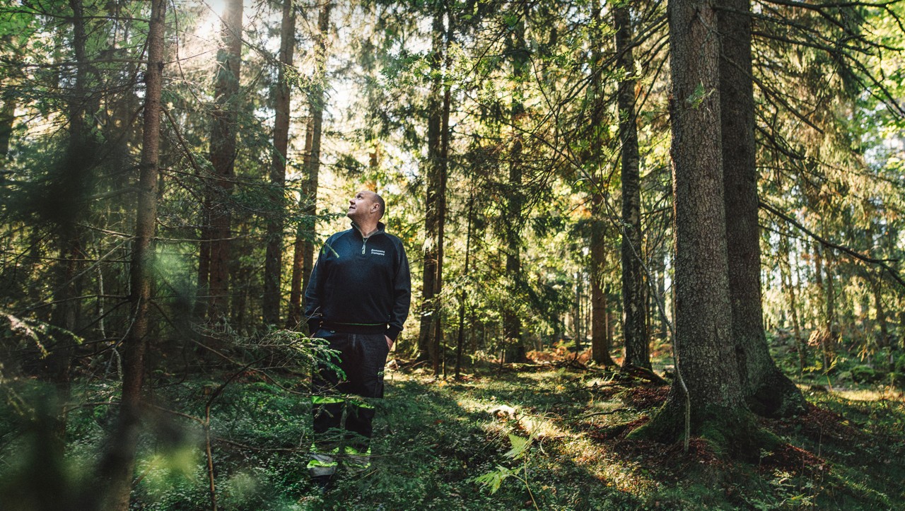 Bert Johansson dans la forêt